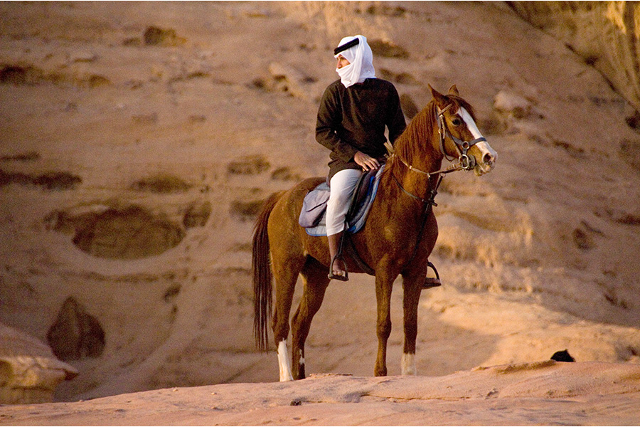 Read more about the article Horse Riding Adventure